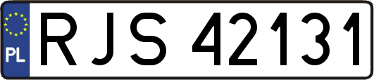 RJS42131