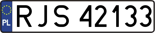 RJS42133