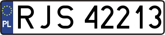 RJS42213