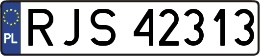 RJS42313