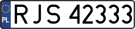 RJS42333