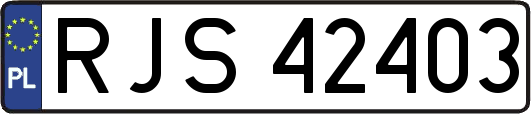 RJS42403