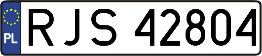 RJS42804