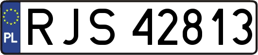 RJS42813