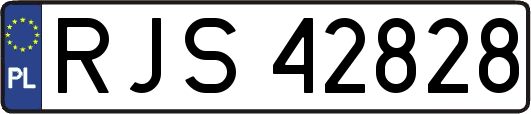 RJS42828