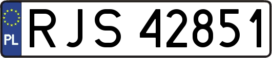 RJS42851