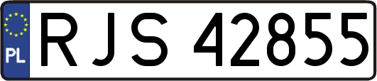 RJS42855