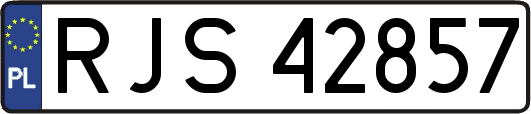 RJS42857