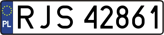 RJS42861