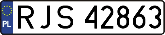RJS42863