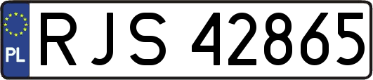 RJS42865