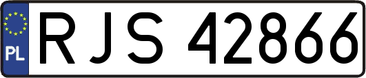 RJS42866