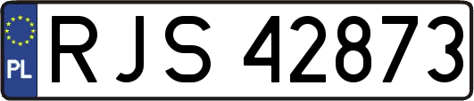 RJS42873