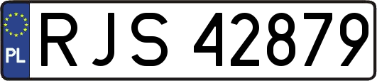 RJS42879