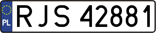 RJS42881