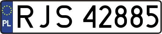 RJS42885