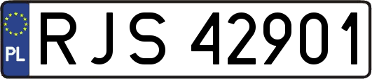 RJS42901