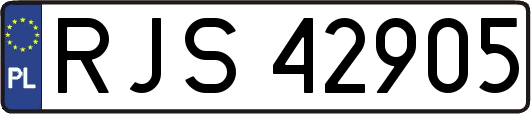 RJS42905