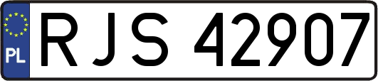 RJS42907