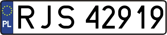RJS42919