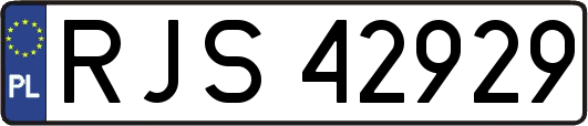RJS42929