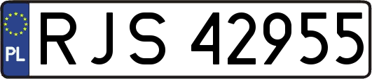 RJS42955