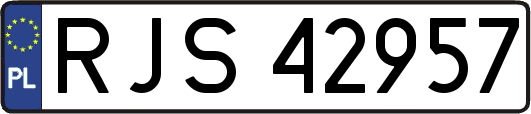 RJS42957