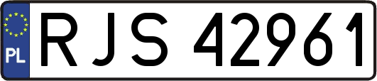 RJS42961