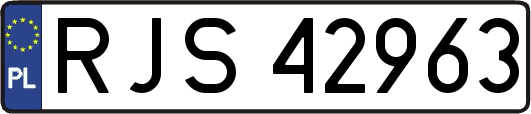 RJS42963