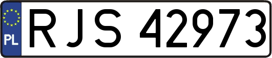 RJS42973