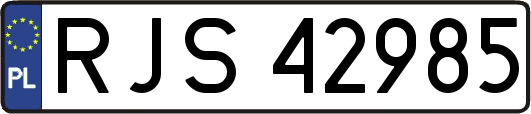 RJS42985