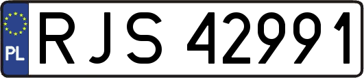 RJS42991
