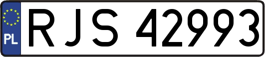 RJS42993