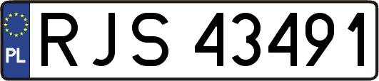 RJS43491