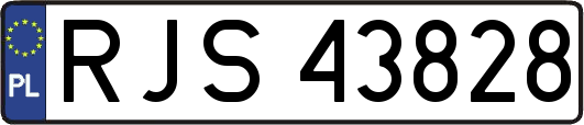 RJS43828