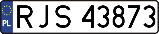 RJS43873