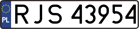 RJS43954