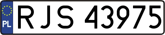 RJS43975