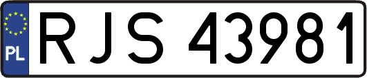 RJS43981