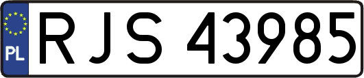 RJS43985