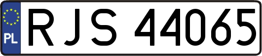 RJS44065
