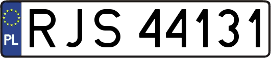 RJS44131
