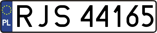 RJS44165