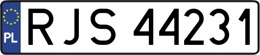 RJS44231