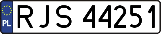 RJS44251