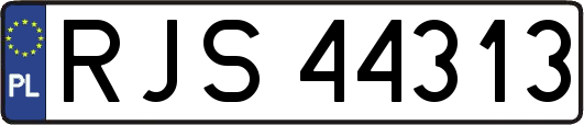 RJS44313