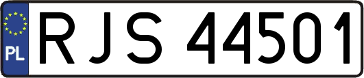 RJS44501