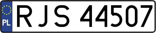 RJS44507