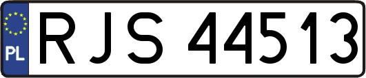 RJS44513