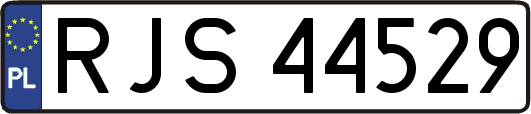 RJS44529